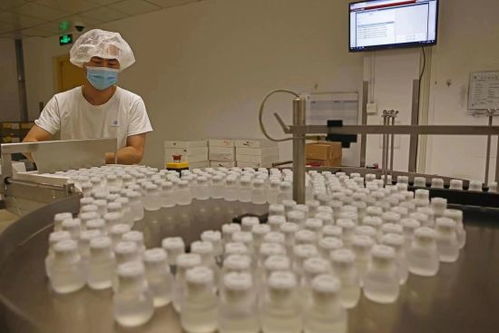 GE醫療堅定扎根中國信心，以更大規模參展第五屆進博會